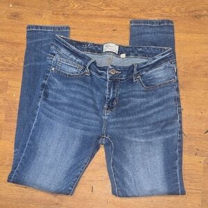 BKE Payton Skinny Jeans Size 30 R